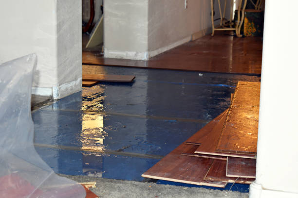 Professional Water Damage Restoration technician working in Truesdale, MO